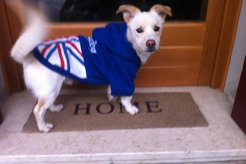 Chicco a casa!